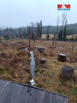 Prodej lesa, 37567 m², Vacovice - 2