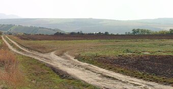 Prodej pole 3000 m² Velké Němčice - 2