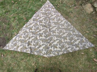 Rakouská celta K4 Tarn - 2