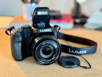 Panasonic LUMIX FZ80 - 2