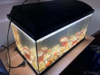 Akvarijní set - akvárium 60 l - 2