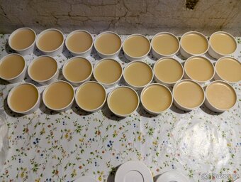 Jezevčí sádlo - 2