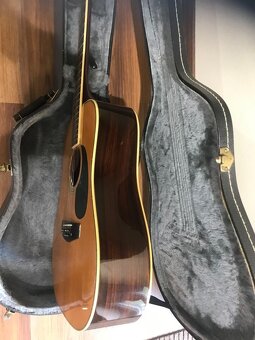 Devítistrunná kytara T F Morris - 2