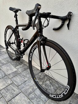 Focus Izalco Race - 2