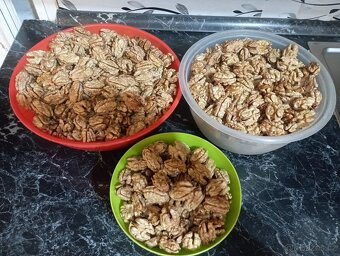 LETOŠNÍ LOUPANÉ VLAŠSKÉ OŘECHY - 2