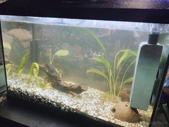 Akvárium 60L dovezu - 2