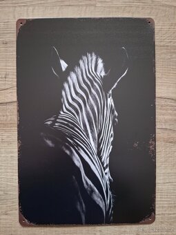 Plechová cedule 20x30cm černobílá - 2