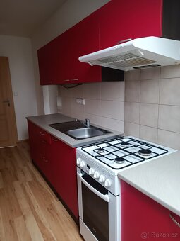 Pronájem Podkrovního bytu 1+1 v Plzni-Doudlevcích - 2