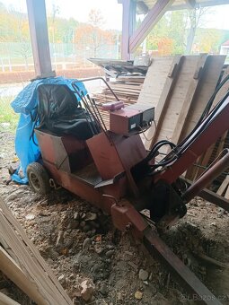 Kráčející bagřík - 2