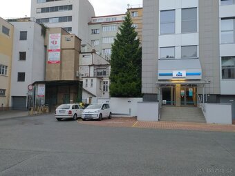 SLADOVACI KOJI PLZEN. - 2