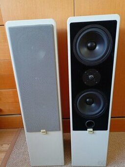 Reprobedny Canton Ergo 80 - 2