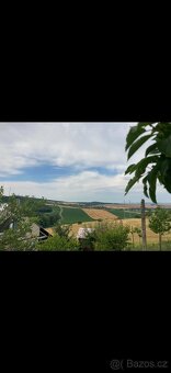 Prodej sadu 1592m2 - 2