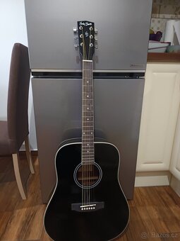 Prodám kytaru - 2