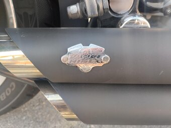 harley davidson softail standart - 2