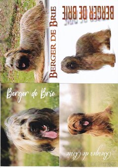 pohlednice zvířat - 2