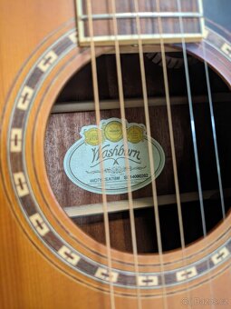 Elektroakustická kytara Washburn - 2