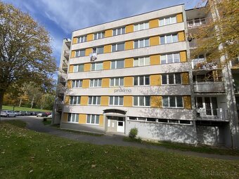 Pronájem zrekonstruovaného bytu 1+1, 43 m2 Plešivec - 2