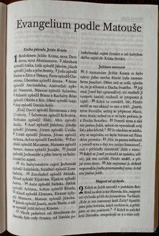 Nový Zákon, Evangelium - 2