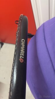 Kocarek Camarelo - 2