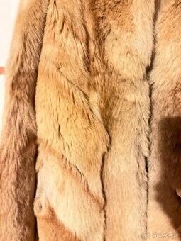 Kožich sibiřský pes - 2