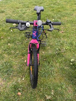 Beany Zero 20” - 2