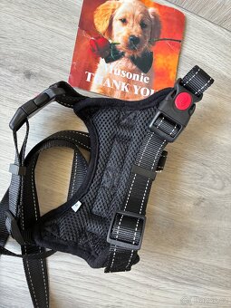 Vodítko postroj pro psa kočku ? - 2