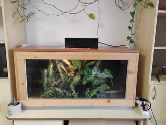 Paludarium s pralesničkama - 2