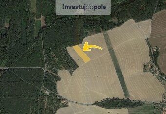 Prodej pole v k.ú. Všekary - 2