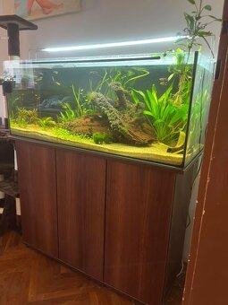 Akvárium JUWEL RIO 180l - 2