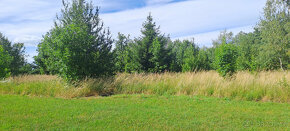 České Velenice, Štefánikova, 6981 m2 - 2