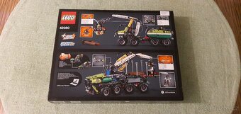 LEGO® Technic 42080 Lesní stroj - 2