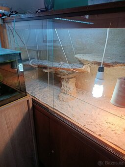 Terárium pro agamu - 2