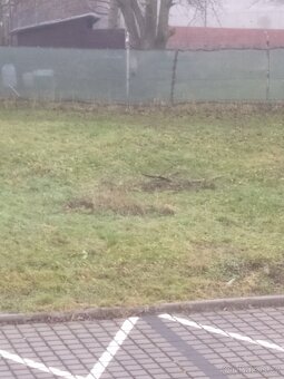 Přenechám zahradu sl.ostrava - 2