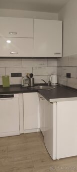 1kk hezký byt v DC 8 - 2