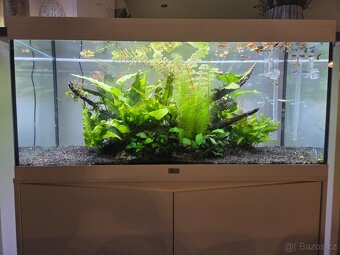 Akvárium se skříňkou a příslušenstvím - 2