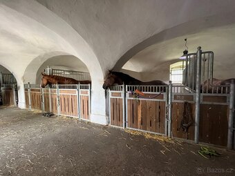Boxové ustájení s možností privátní stáje s vlastní sedlovou - 2