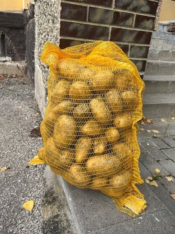 Brambory Esmee – červené, vhodné na uskladnění - 2