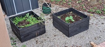 Prodám dřevěné bedny - boxy - vyvýšený záhon - 2