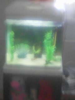 AKVARIJNI SET S OSVETLENIM NA 35 LITRU - 2