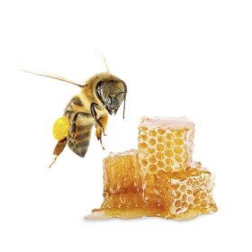 Pravý včelí med přímo od včelaře Světlý, Tmavý, Pastovaný - 2