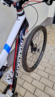 Cannondale Scalpel, XL, Lefty, Carbon - 2