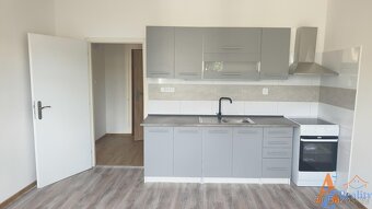 Nabízíme pronájem prostorné bytové jednotky 1+1, OV, V Sídli - 2