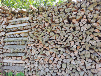 Palivové dřevo suché naštípané - 2