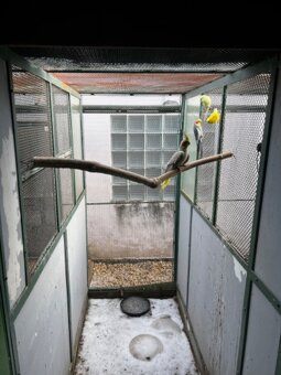 prodej venkovních voliér - 2