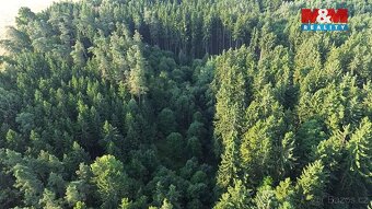 Prodej lesa, 5139 m², Tábor - 2