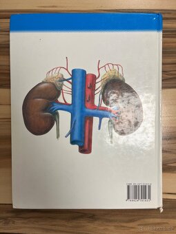 Anatomie 2 - Čihák - 2