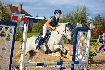 Sportovní pony kategorie B - 2