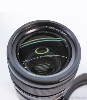 Panasonic Lumix S PRO 50 mm f/1,4 - 2