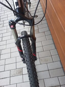 MTB PELLS SEVEN CARBON - 2