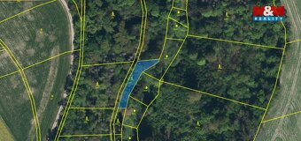 Prodej lesa, 562 m², Řepníky - 2